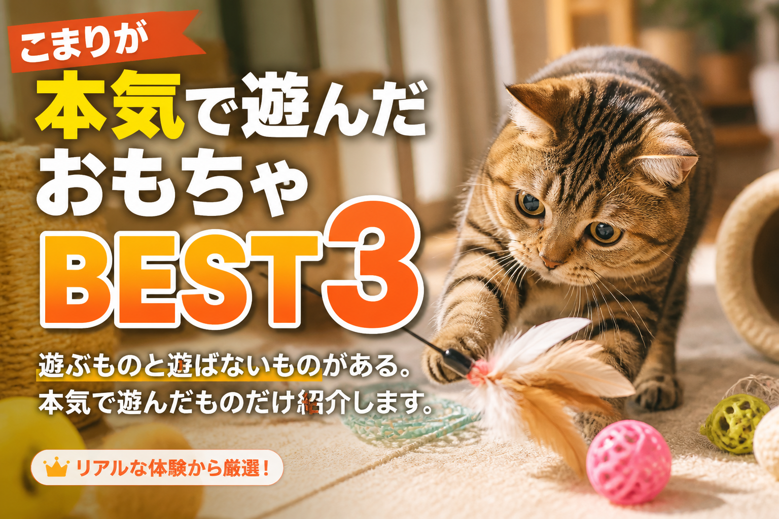 こまりのお気に入りおもちゃBEST3